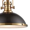 Elk Lighting Chadwick 1-Lght Pendant in Oil Rubbed Brnz w/Metal and Frosted Glass 66618-1
